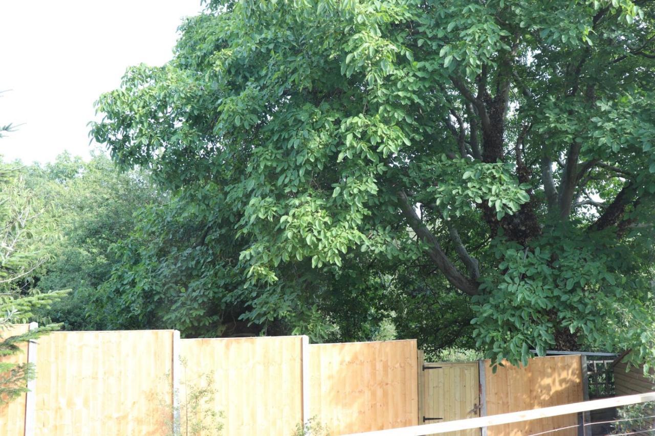 Walnut Tree View Villa Оксфорд Екстериор снимка